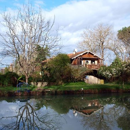 Gite Au Jardin Meilhan-sur-Garonne Buitenkant foto