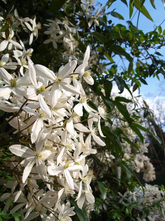 Gite Au Jardin Meilhan-sur-Garonne Kamer foto