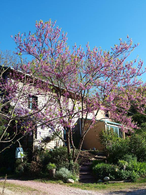 Gite Au Jardin Meilhan-sur-Garonne Kamer foto