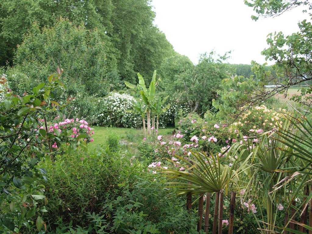 Gite Au Jardin Meilhan-sur-Garonne Kamer foto