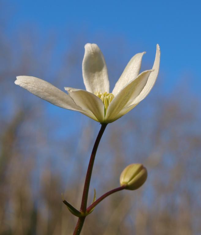 Gite Au Jardin Meilhan-sur-Garonne Kamer foto