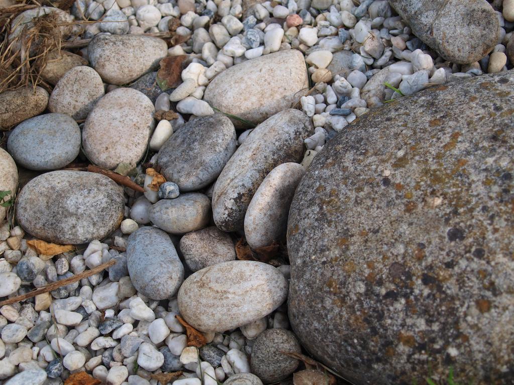 Gite Au Jardin Meilhan-sur-Garonne Kamer foto