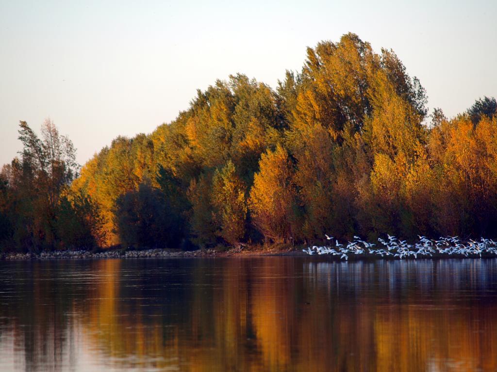 Gite Au Jardin Meilhan-sur-Garonne Buitenkant foto