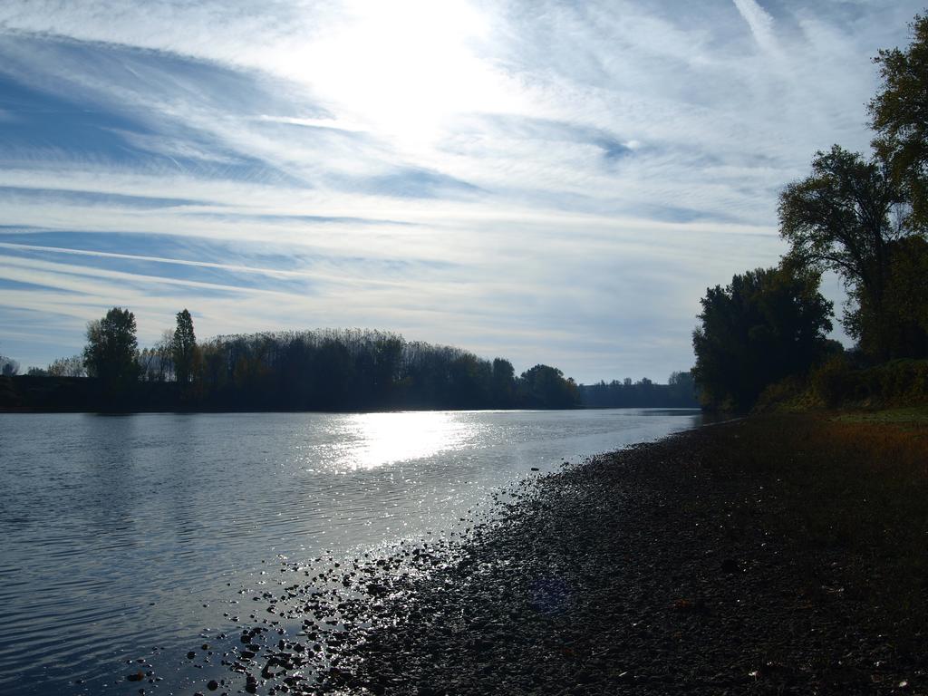 Gite Au Jardin Meilhan-sur-Garonne Buitenkant foto